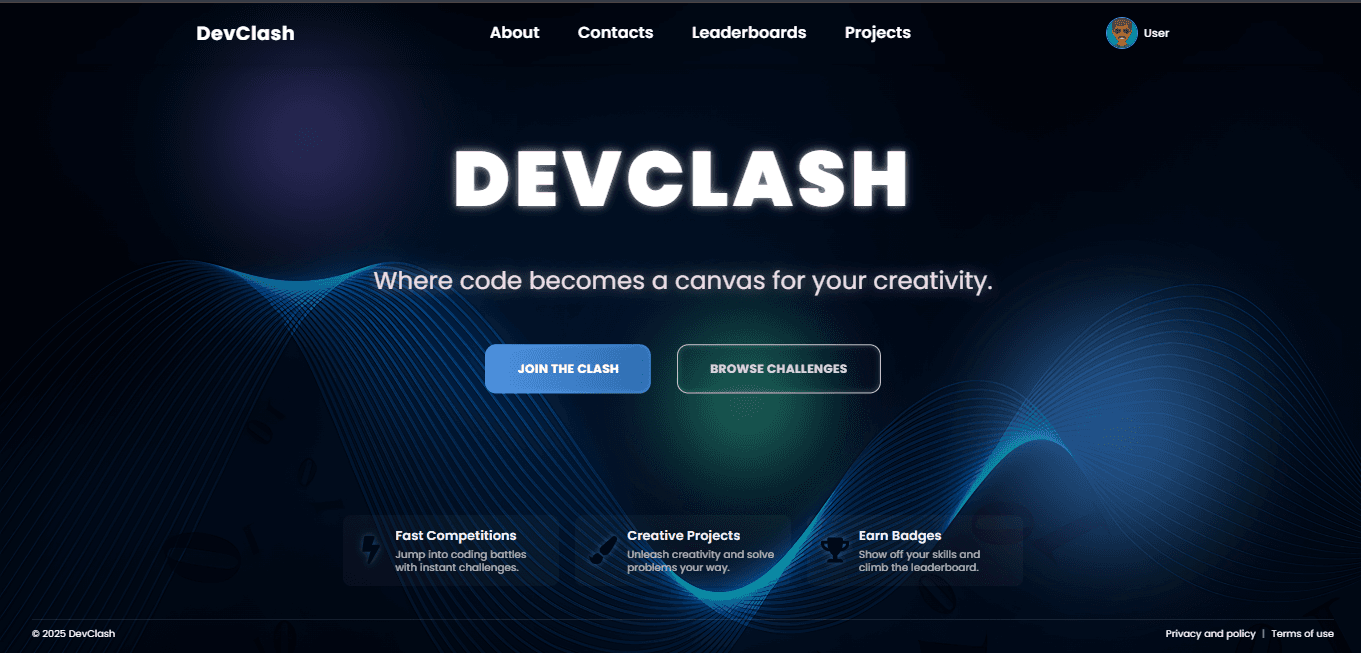 A Learning Platform for Programming